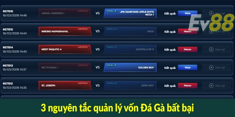 3 nguyên tắc quản lý vốn Đá Gà bất bại