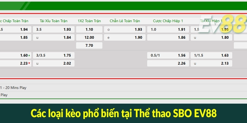 Các loại kèo phổ biến tại Thể thao SBO EV88