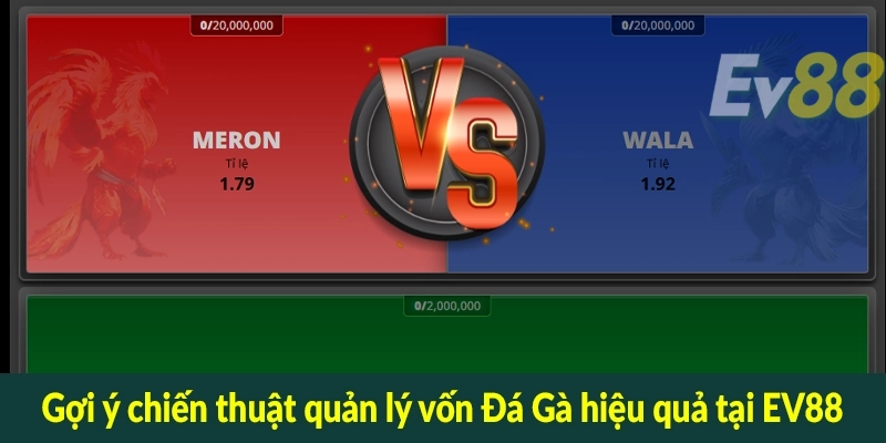 Gợi ý chiến thuật quản lý vốn Đá Gà hiệu quả tại EV88