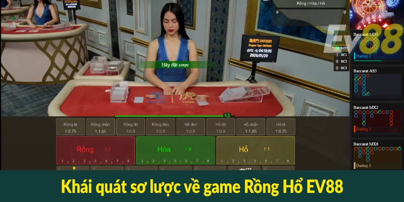 Khái quát sơ lược về game Rồng Hổ EV88