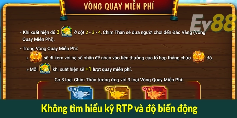 Không tìm hiểu kỹ RTP và độ biến động