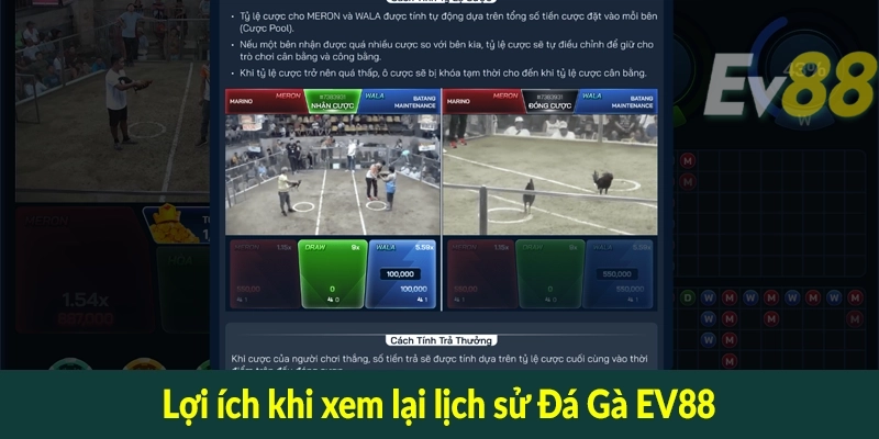 Lợi ích khi xem lại lịch sử Đá Gà EV88