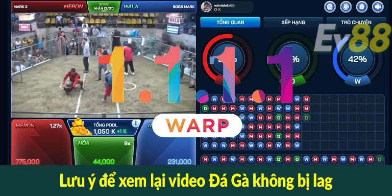 Lưu ý để xem lại video Đá Gà không bị lag