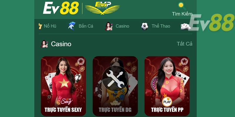 Nguyên nhân được ưa chuộng