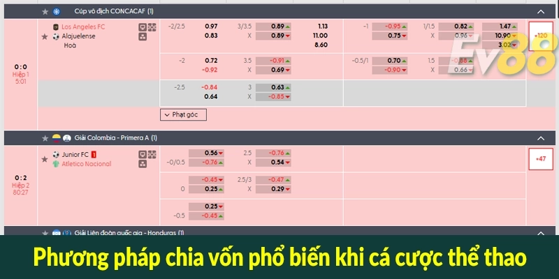 Phương pháp chia vốn phổ biến khi cá cược thể thao