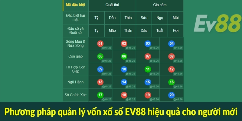 Phương pháp quản lý vốn xổ số EV88 hiệu quả cho người mới