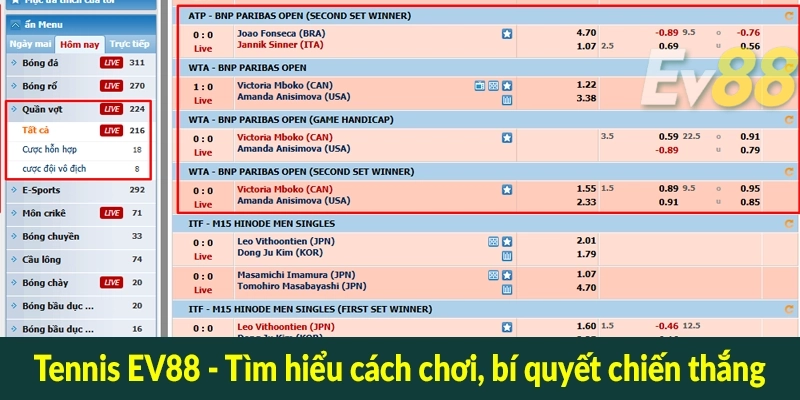 Tennis EV88 - Tìm hiểu cách chơi, bí quyết chiến thắng