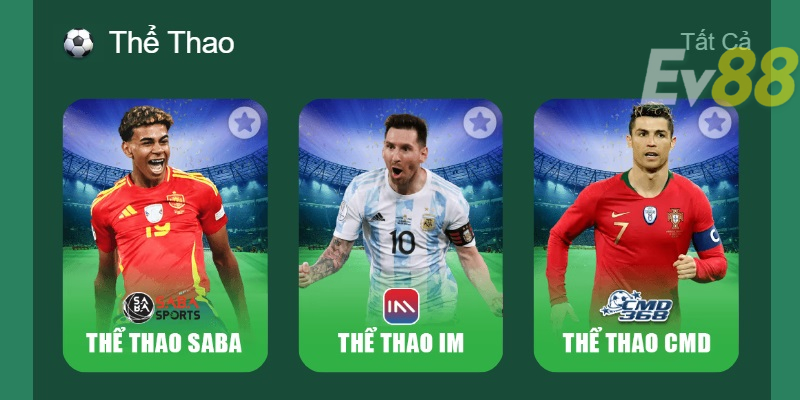 Tổng quan về cá cược thể thao trực tuyến