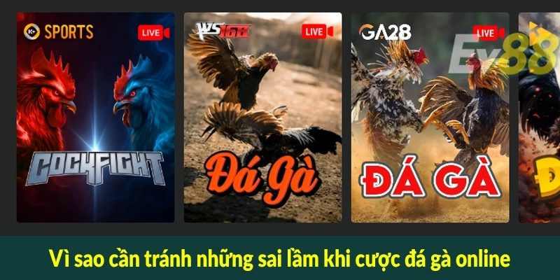 Vì sao cần tránh những sai lầm khi cược đá gà online